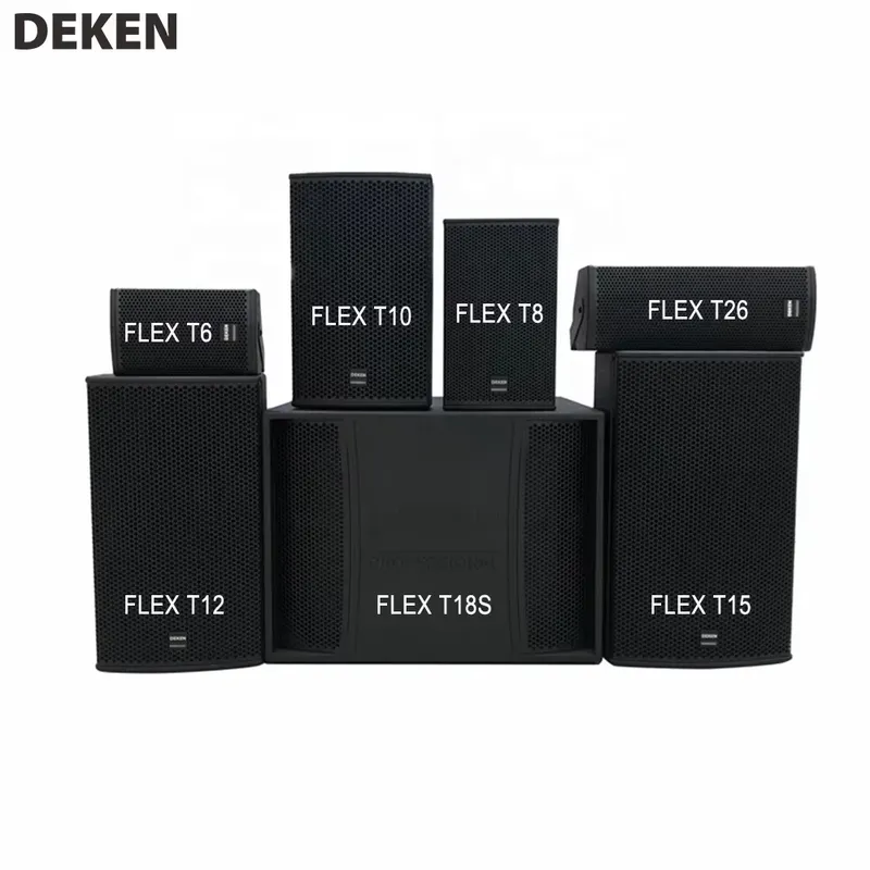 FLEX-T10 10-calowy 2-głośnikow – Audio Music Dj recenzja i cena